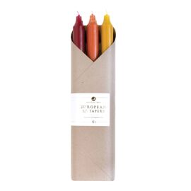 Northern Lights Set 6 pcs x 12" Taper Candle - Autumn Harvest