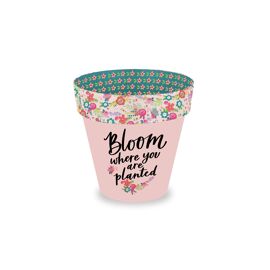 **MULTI 2** Love Plants Flower Pot Bloom Where You Are Planted