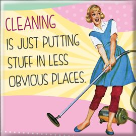 **MULTI 2** She Who Must Be Obeyed Magnet Cleaning Is Just Putting Stuff In Less...