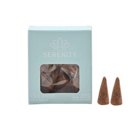 **MULTI 12** Serenity Cleanse 10 Incense Cones - Palo Santo