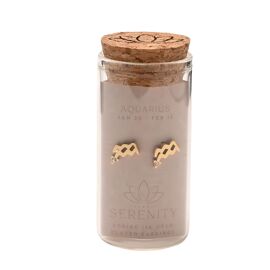 Serenity Zodiac 18k Gold Plated Earrings - Aquarius