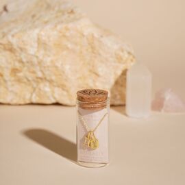 Serenity Zodiac 18k Gold Plated Necklace - Gemini