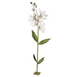 The Cottage Garden Flower Stand - Small White Flowers on Single Stem