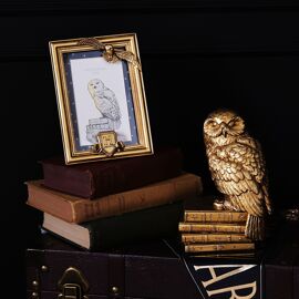 Warner Bros Harry Potter Alumni Gold Photo Frame Hedwig