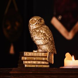 Warner Bros Harry Potter Alumni Figurine Hedwig