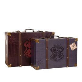 Warner Bros Harry Potter Alumni Burgundy Suitcase Set of 2