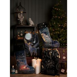 Warner Bros Harry Potter Alumni Sack - Buckbeak