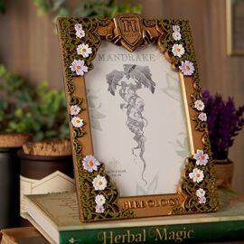 Warner Bros Harry Potter Herbology Frame