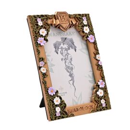 Warner Bros Harry Potter Herbology Frame