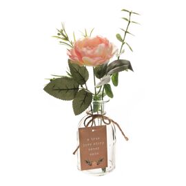 **MULTI 3** Love Story Flower in Jar with Tag Small