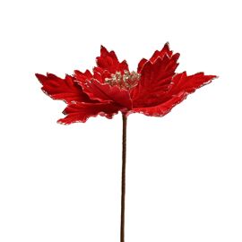 **MULTI 12** Red Velvet Poinsettia Stem