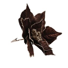 **MULTI 12** Velvet Poinsetta with Clip - Chocolate