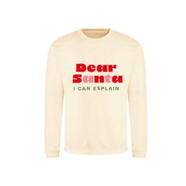 Dear Santa I Can Explain Jumper - Small