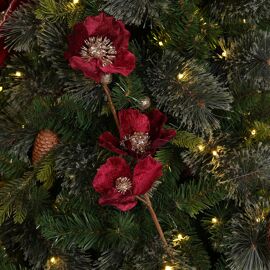 Regal Tidings Dark Red Flower Stem