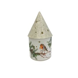 LED White House Lantern with Robin and Leaf Design - Batteries not included (Includes try me button)